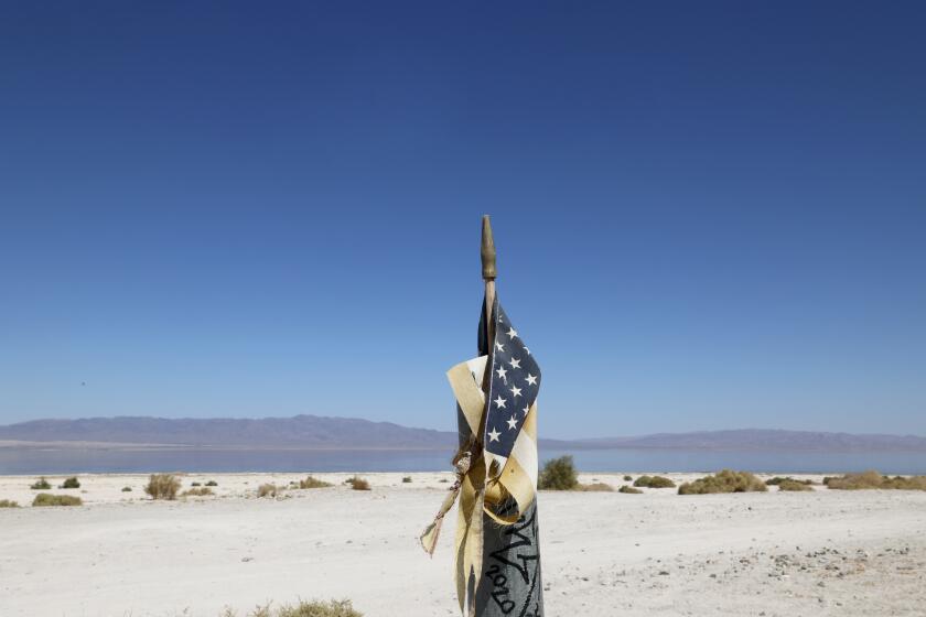 Imperial Valley, CA - September 24: A tattered American flag stands on a post next to the shrinking Salton Sea in the Imperial Valley. Some are concerned that the Imperial Irrigation District's water-saving program is worsening the decline of the Salton Sea and contributing to lung-damaging dust. Photo taken Wednesday, Sept. 25, 2024. Many Imperial Valley farmers are voluntarily participating in a multimillion dollar Colorado River deal in which the federal government that is paying farmers in the Imperial Valley to leave their hay fields dry during part of the year in exchange for payments. The agreement has recently become controversial because the Sierra Club has sued the irrigation district, saying it has failed to address the effects of the water reduction on the shrinking Salton Sea, which is fed by farm runoff. The shrinking of the sea is leading to more dust in the area, which poses a health threat and has been linked to high asthma rates among children in the area. Some residents are concerned about the shrinking of the Salton Sea. (Allen J. Schaben / Los Angeles Times)