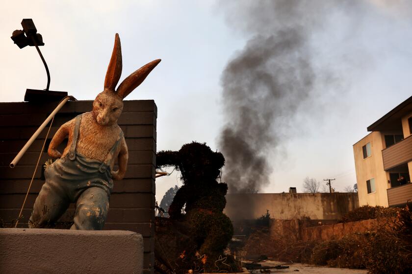 Businesses, like The Bunny Museum, burned down by the Eaton fire along Lake Avenue in Altadena.