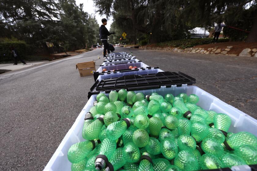 ALTADENA, CA - NOVEMBER 2, 2024 - - New bulbs wait to be plugged into strings of light on Christmas Tree Lane for the upcoming holiday in Altadena on November 2, 2024. Altadena Christmas Tree Lane has lit up the tall deodar cedars that line both sides of Santa Rosa Avenue in Altadena, but the work takes many weekends and scads of community volunteers to get set up, because the strings of lights are all installed manually, using ropes and pulleys to put them in the trees. They start putting up lights in September (Genaro Molina/Los Angeles Times)