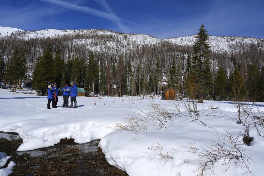 From the California Department of Water Resources, left to right, Angelique Fabbiani-Leon, Jordan Thoennes, Manon von Kaenel, and Andy Reising conduct the first snow survey of the season to assess how much water the state might have come spring and summer at Phillips Station on Thursday, Jan. 2, 2025. (AP Photo/Brooke Hess-Homeier)