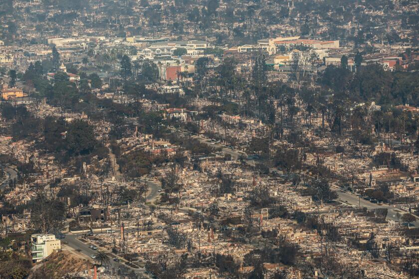 Pacific Palisades CA, Thursday, January 9, 2025 - Aerial view of neighborhoods destroyed by the Palisades Fire. (Robert Gauthier/Los Angeles Times)